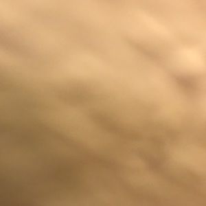 Meet your Posher, Shane